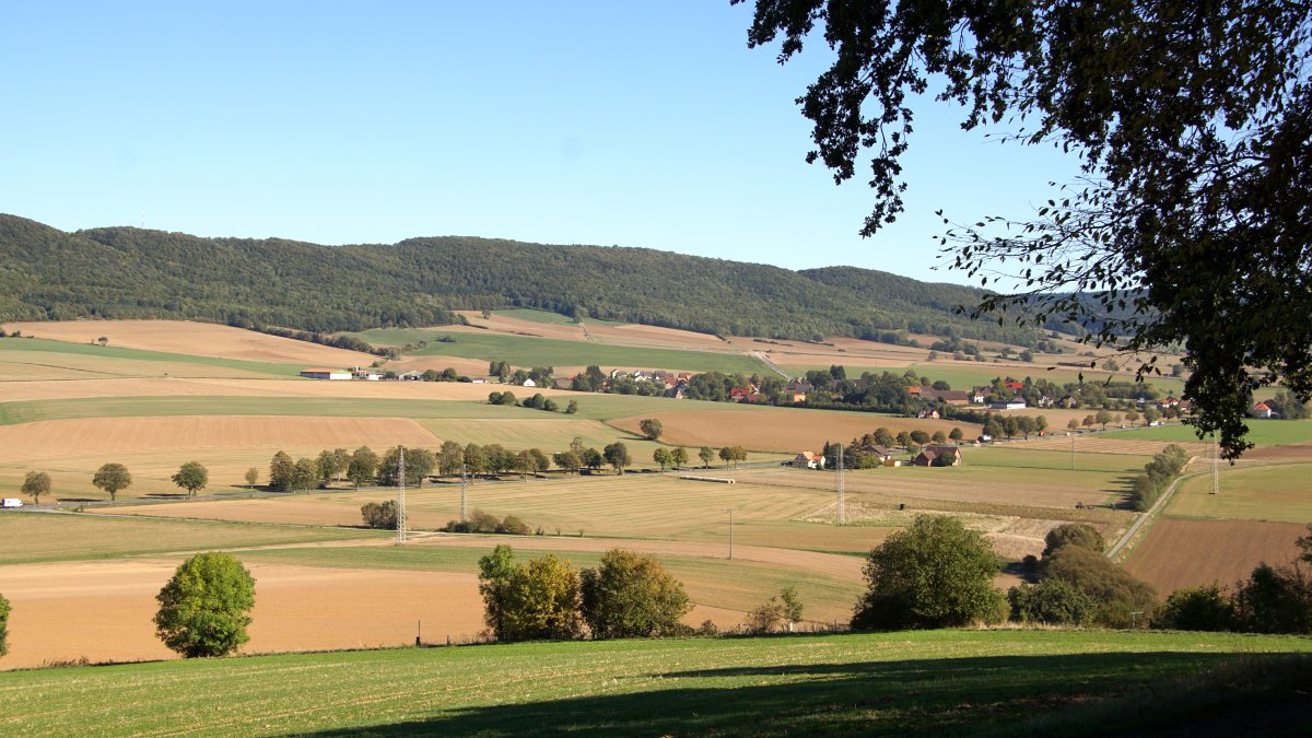 Hure aus Stadtoldendorf